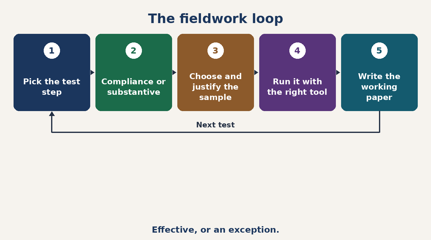 The fieldwork loop: pick a test, choose the sample, run it, judge the evidence, write the working paper