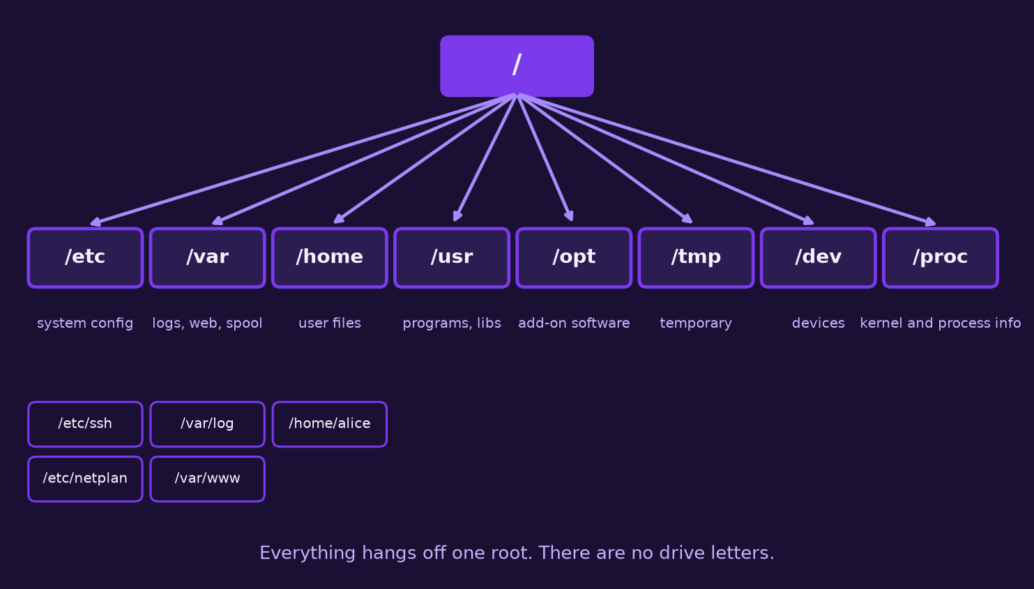 Tree diagram of the Linux root directory with eight branches: etc, var, home, usr, opt, tmp, dev and proc